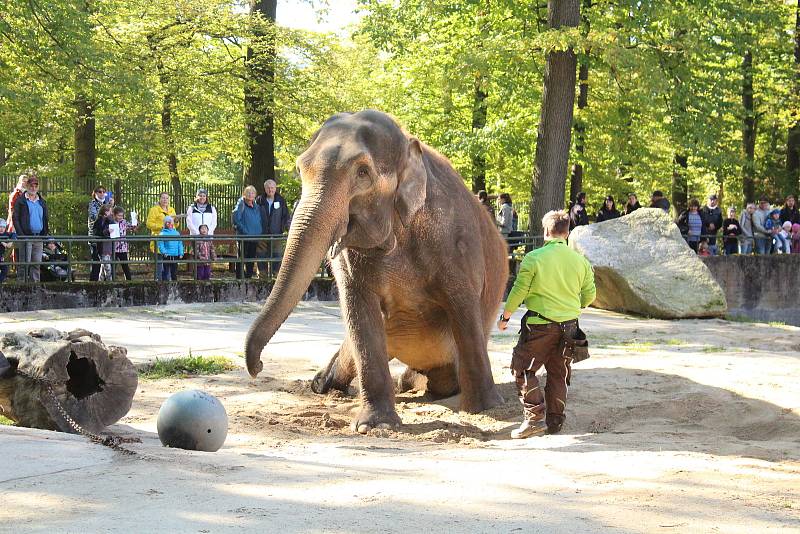 Mezinárodní den zvířat v liberecké zoologické zahradě.