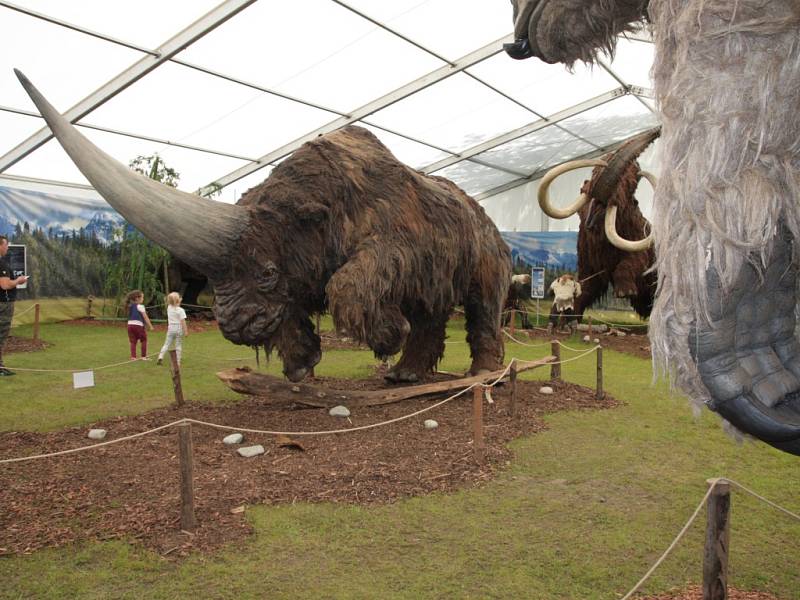 Z pozoruhodné výstavy Giganti v liberecké zoologické zahradě.