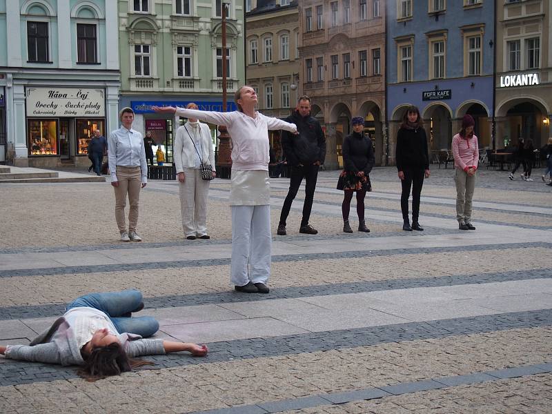 Občané hnutí Extinction Rebellion v Liberci upozornili na důsledky klimatické změny.