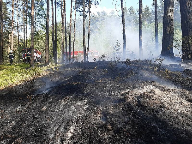 Hasiči likvidovali požáry v lesích na Českolipsku a Jablonecku.