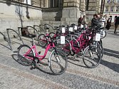 Na snímku růžová kola společnosti Rekola, která začala 21. března 2018 nabízet zájemcům o sdílenou cyklopřepravu své služby i v Liberci.