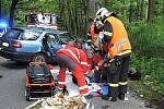 Hasiči byli povoláni k dopravní nehodě, při které auto narazilo do stromu. 