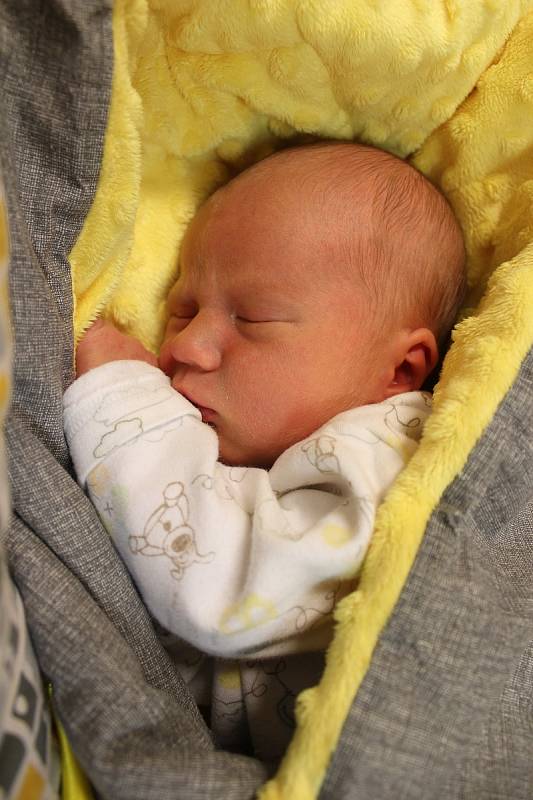 Tomáš Ptáček. Narodil se 18. listopadu v liberecké porodnici mamince Andree Ptáčkové z Chrastavy. Vážil 3,1 kg a měřil 50 cm.