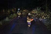 Vítr na Liberecku lámal stromy. Nejvíce hasiči zasahovali na Českolipsku.