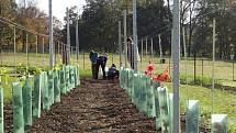 Na pozemcích Hospodářské a lesnické školy ve Frýdlantu vzniká naučná zemědělská stezka. Poslouží jak škole při výuce, tak veřejnosti k seznámení se s tím, co se v kraji teď i kdysi pěstovalo