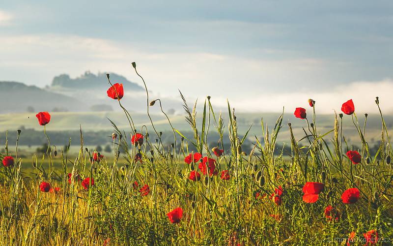 V kapli sv. Anny na Vyskři vystavuje českorajský fotograf Mariá Kábele.