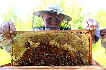 Pro včelaře Jiřího Vomáčku jsou včely životní láskou.