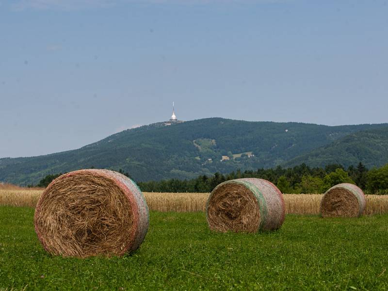 Balíky slámy na poli ve Starém Dubu u Českého Dubu na snímku v pozadí s Ještědem z 9. července.