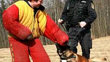 VE SLUŽBĚ S LIBERECKOU MĚSTSKOU POLICIÍ. Zpočátku máte dojem, že se budete nudit, postupně si ale osvojujete denní rytmus, ve kterém zažíváte nespočet různorodých situací. Na každou však musíte umět správně reagovat a tak je pravidelný trénink nezbytný.