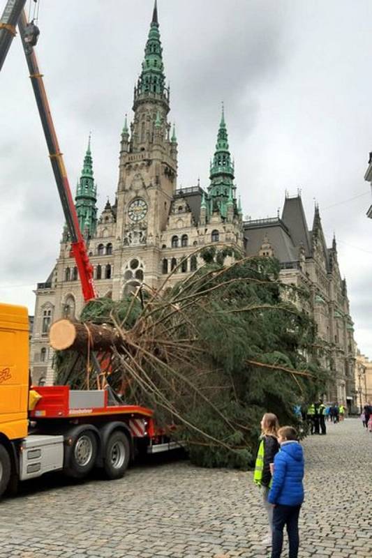 Převoz a kotvení vánočního stromu 2020.