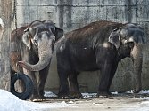 Pavilon slonů v liberecké zoo.