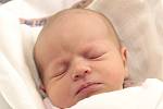 Manželům Janě a Janovi Lehmannovým z Mimoně se dne 5. února v liberecké porodnici narodila dcera Nikol. Měřila 51 cm a vážila 3,25 kg.