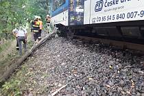 Osobní vlak najel na větev spadlou do kolejí.