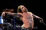 IGGY POP. Punková legenda v Praze 2016.