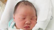 NAM HOANG NHAT Narodil se 11. července v liberecké porodnici mamince Ngoc Phan Thi z Liberce. Vážil 3,08 kg a měřil 49 cm.
