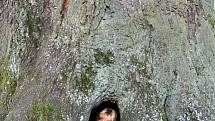 Kotelská lípa měří na obvodu 12,5 metru a do jejího vykotlaného kmene se vejde až dvacet dětí najednou. Lípa, jejíž stáří je odhadováno na 870 až 950 let, patří mezi státem chráněné stromy.