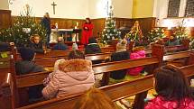 Výstava vánočních stromků je pevnou součástí adventního období v Hrádku.