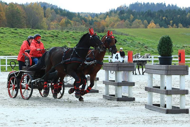 S letošní závodní sezonou se v sobotu 23. října loučil Jítravský Dvorec. K vidění tu byly vozatajské závody.