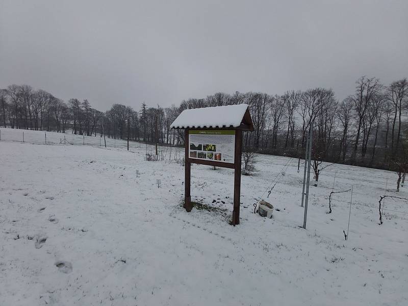 Učitelé odborného výcviku pustili do výstavby nové chmelnice.