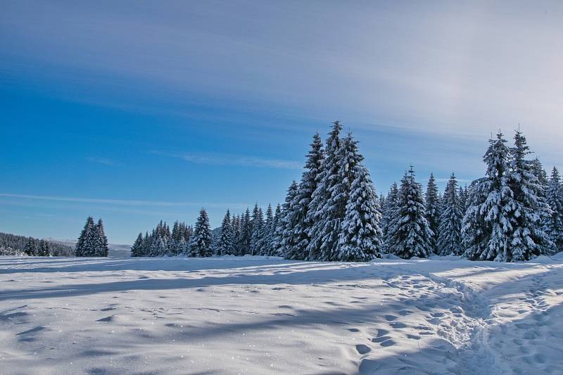 Jizerská Zima.