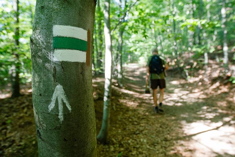 Jaromír Růžička z Klubu českých turistů obnovuje turistickou značku na kmenu stromu.