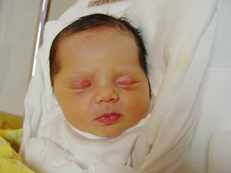 Mamince Haně Skalové z Polevska se narodila 12. prosince 2010 v liberecké porodnici dcera Anna Tenenková. Měřila 46 cm a vážila 3,06 kg.