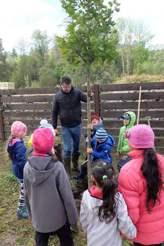 Jednadvacet mladých javorů bylo ve středu 3. října 2018 vysázeno ve Frýdlantu u bývalého státního statku podél náhonu.