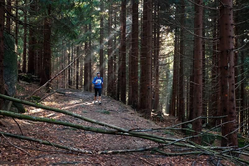 Závěrečný závod série BoBoTripl, horský běh na trati dlouhé 30 kilometrů, odstartoval 5. listopadu v Bedřichově na Jablonecku.