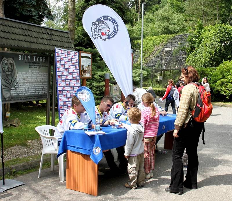 ENRICHMENT napodobuje přirozené aktivity zvířat ve volné přírodě. V liberecké zoo tygřata lovila navoněné návnady.