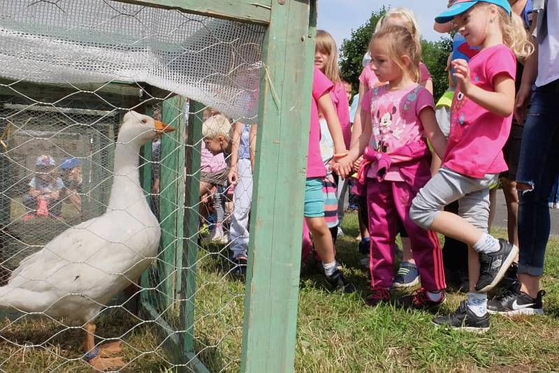 Zemědělství na Frýdlantsku vzkvétá i díky místní škole