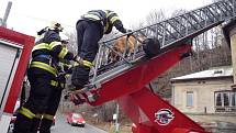 K psovi uvězněnému na střeše ve výšce deseti metrů pomohli až hasiči.