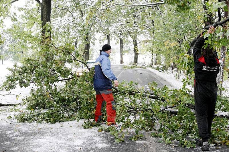 Stromy a větve praskají pod váhou těžkého a mokrého sněhu. Padající větve ohrožují motoristy. Řidiči, není-li větev ned jejich síly, uvolňují si cestu sami.