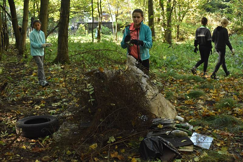 Skauti vyčistili Lidové sady.