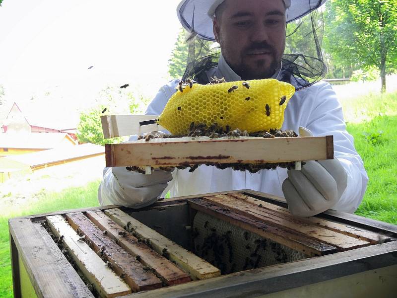 Eduard Seibert ukazuje, jak vznikají svítidla z včelího vosku.