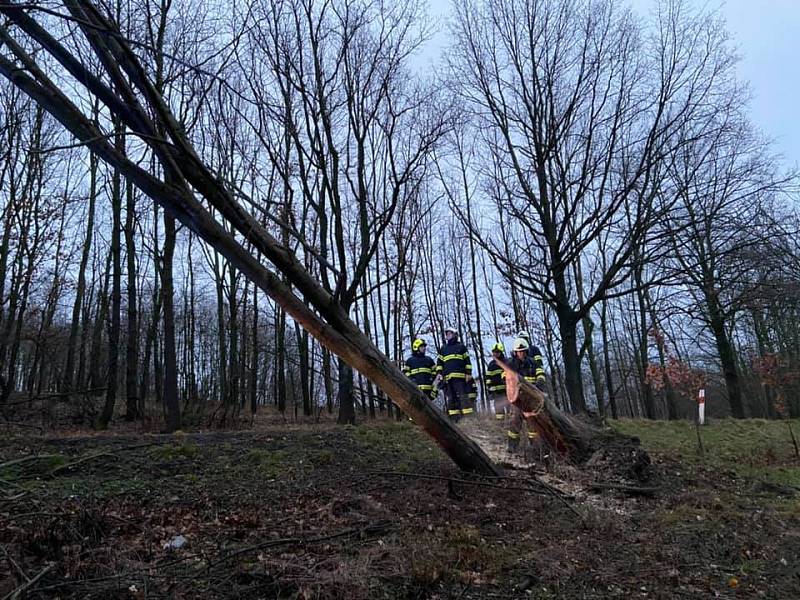 Hasiči z Hrádku nad Nisou, Chrastavy a Liberce zasahovali v pondělí ráno u vyvrácených stromů ve Václavicích.