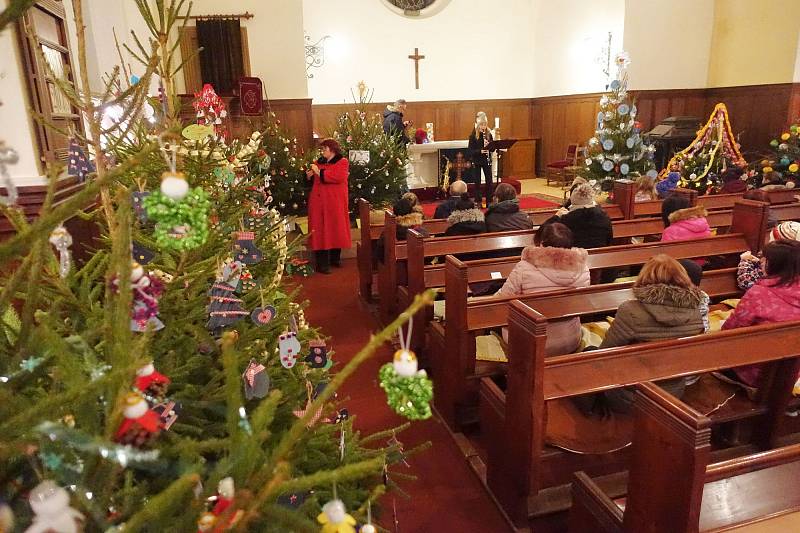 Výstava vánočních stromků je pevnou součástí adventního období v Hrádku.