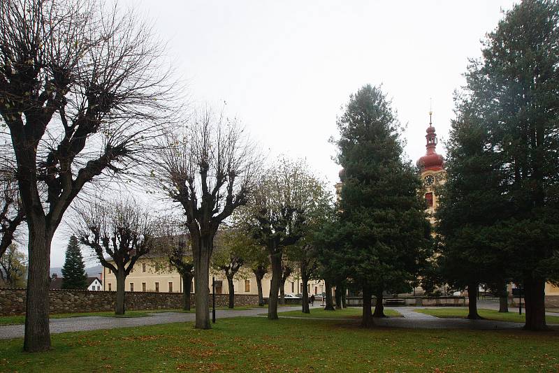 Kácení stromů před kostelem Navštívení Panny Marie v Hejnicích.