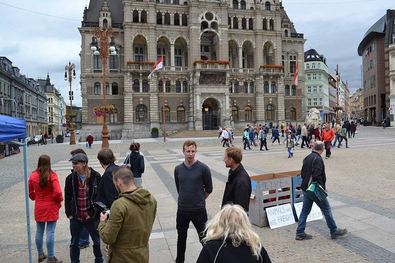 Na středu 13. září 2017 připadl Mezinárodní den STOP přepravě zvířat. A demonstrace se konala mimo jiné i na libereckém náměstí.