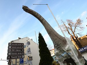 PLAZI V PLAZE. Dino Café, jehož pilířem bude unikátní vyhlídka u brachiosaura, se k otevření připravuje na střeše liberecké Plazy.