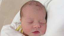BEATA HOFFMANNOVÁ Narodila se 6. listopadu v liberecké porodnici mamince Lucii Adamové z Doubí u Turnova. Vážila 3,14 kg a měřila 48 cm.