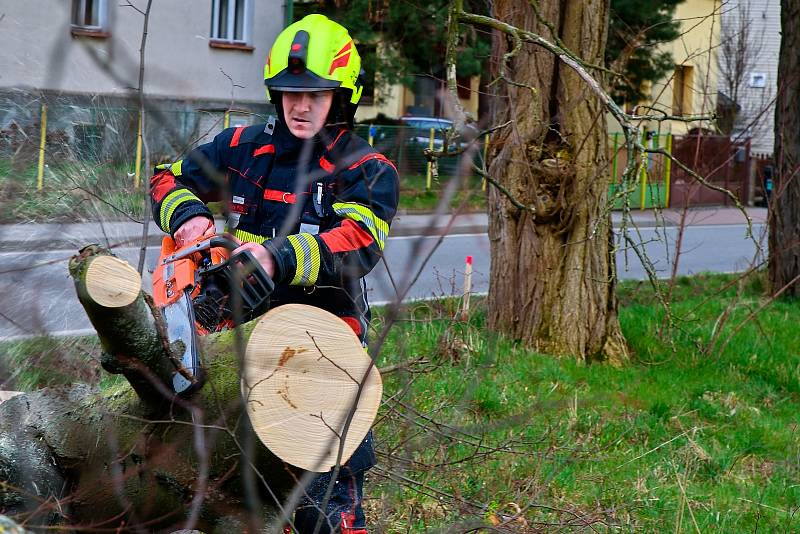 Hrádečtí dobrovolní hasiči pokáceli stromy na místě výstavby pro záchranku