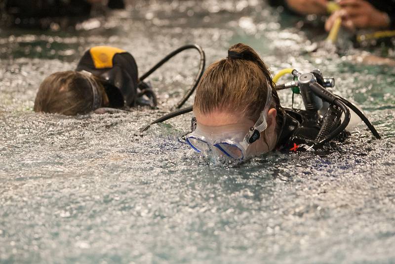 Pokus o překonání největší koncentrace potápěčů v potápěčské věži proběhl 7. října v plaveckém bazénu v Liberci.