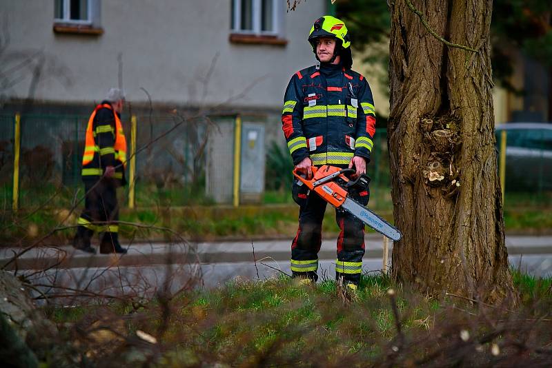 Hrádečtí dobrovolní hasiči pokáceli stromy na místě výstavby pro záchranku