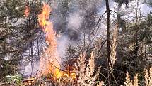 V Libereckém kraji hoří lesy hned na třech místech.