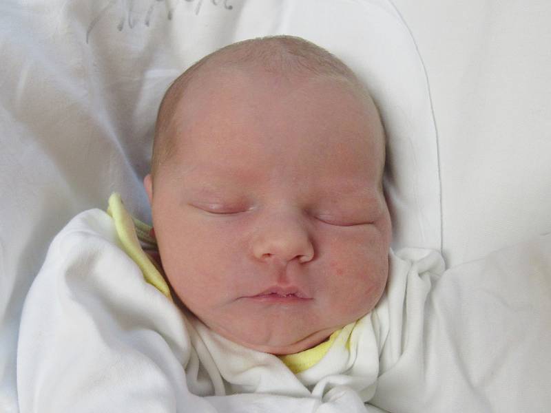 FRANTIŠEK ŠVOMA Narodil se 10. července v liberecké porodnici mamince Žanetě Nagyové z Liberce. Vážil 3,10 kg a měřil 50 cm.