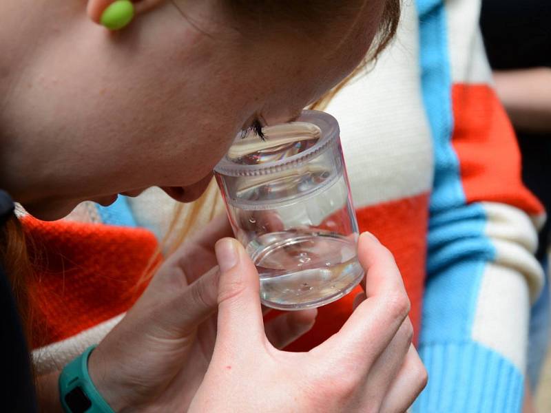 Letní škola pro aktivní studenty středních škol se zájmem o přírodní vědy proběhne od 12. do 17. srpna.