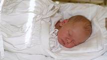 Mamince Michaele Palounkové ze Starého Dubu se 12. října 2011 v liberecké porodnici narodil syn Jan. Měřil 48 cm a vážil 2,980 kg.