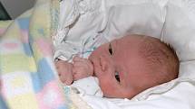 Mamince Jaroslavě Ševrové z Chrastavy se 11. října 2011 narodila v liberecké porodnici dcera Lenka. Měřila 50 cm a vážila 3,260 kg.