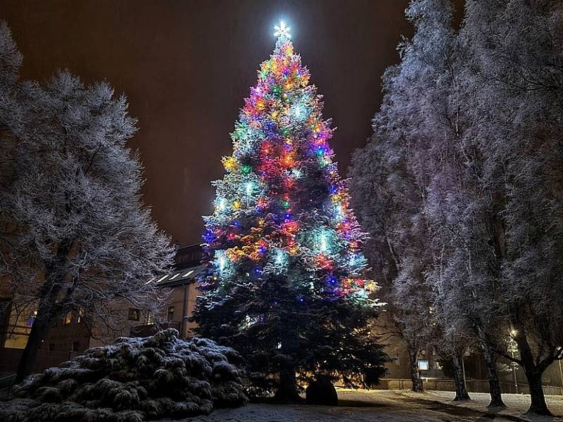 Vánoční strom v Hejnicích