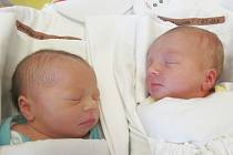 Dvojčátka se narodila 7. února v liberecké porodnici mamince Elišce Tiché z Frýdlantu v Čechách.   Sofie (vlevo) vážila 2,89 kg.  Julie (vpravo) vážila 2,83 kg a měřila 45 cm.
